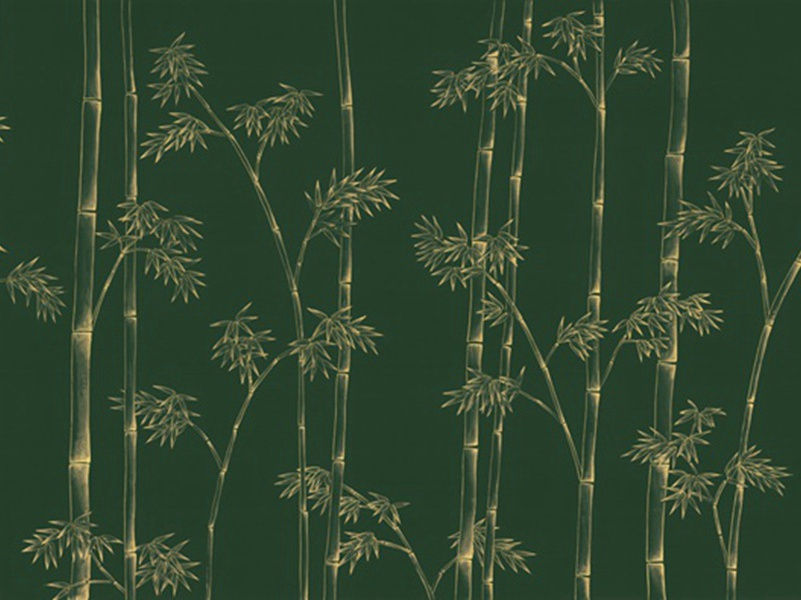 覆舟二首其二(竹宫时望拜)