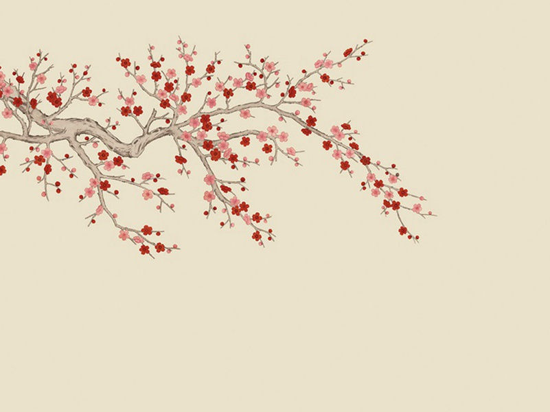 楠树为风雨所拔叹