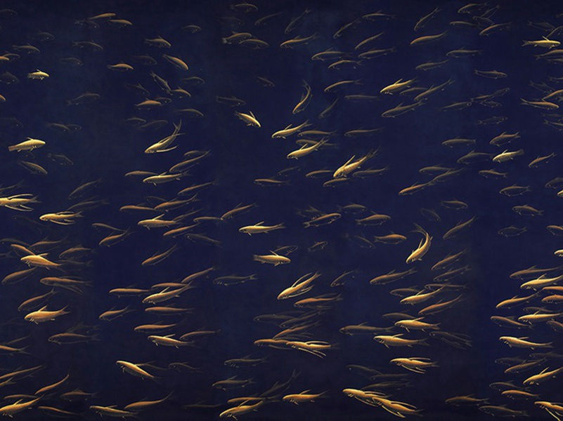 白水县崔少府十九翁高斋三十韵