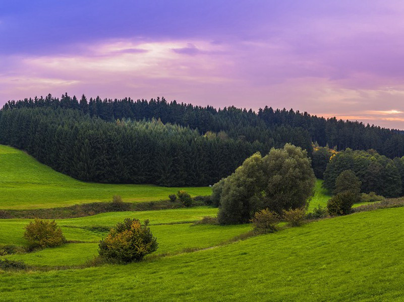 从人觅小胡孙许寄