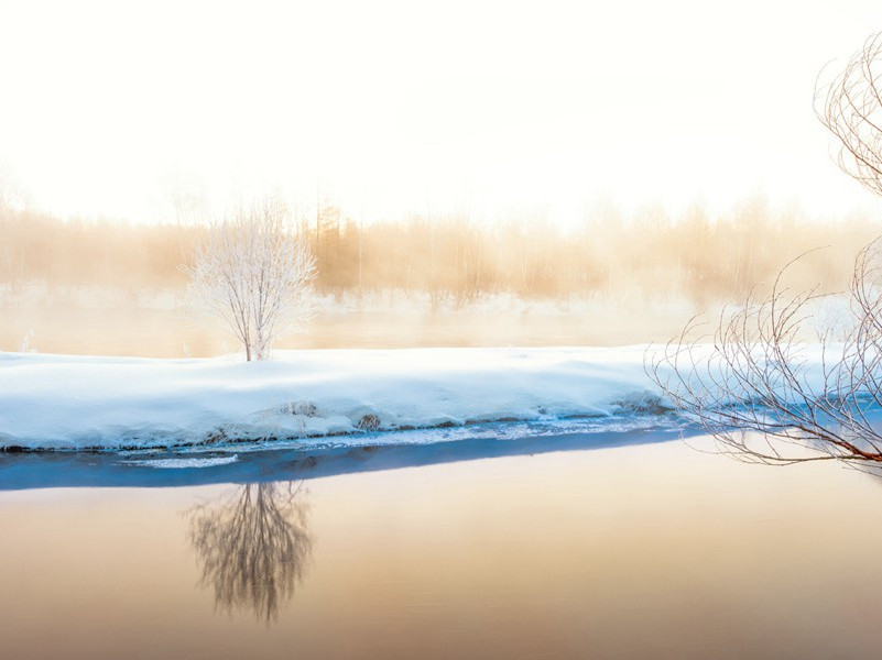乾元中寓居同谷县作歌七首