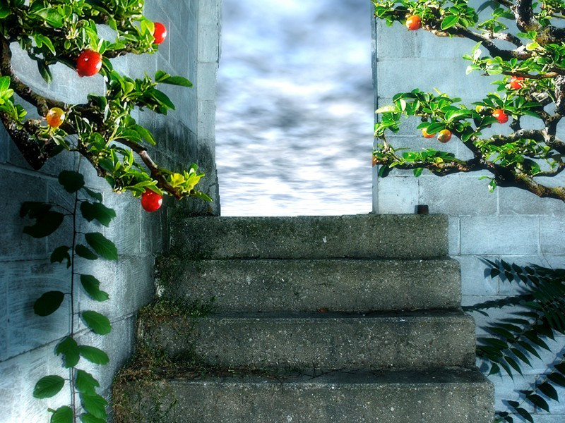 杜鹃行(一作司空曙诗)