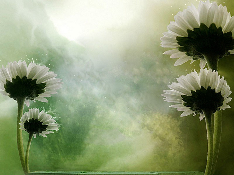 送韩十四江东省觐