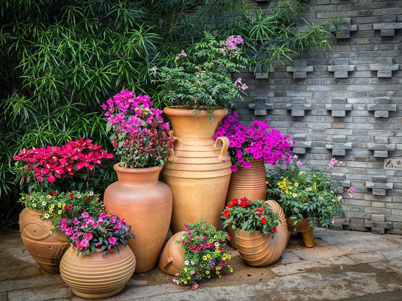 晚晴·村晚惊风度