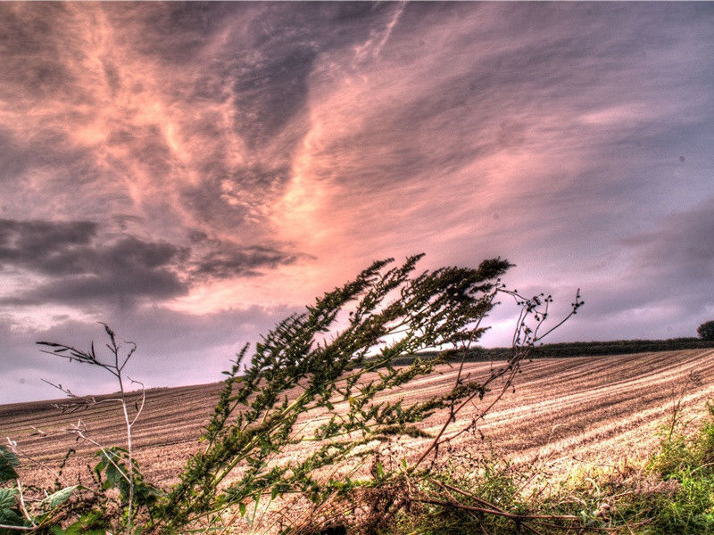 日暮·牛羊下来久