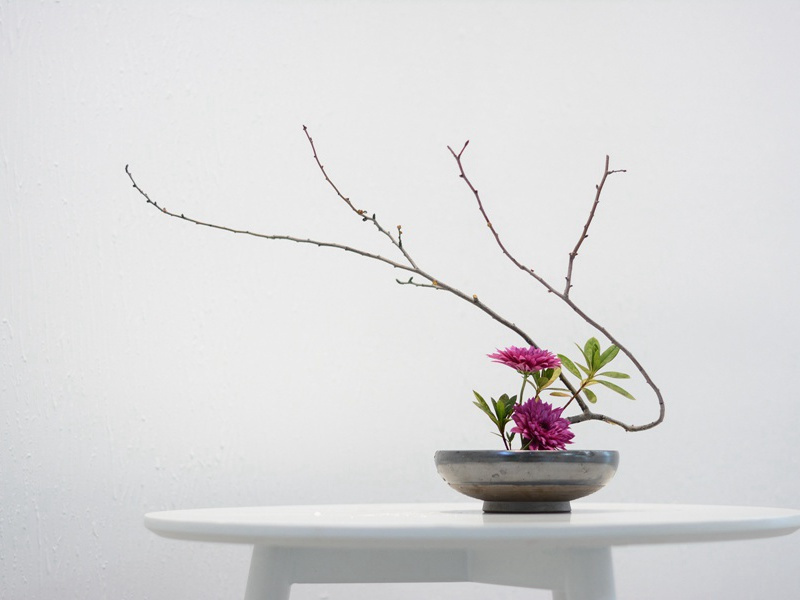 赠别郑炼赴襄阳