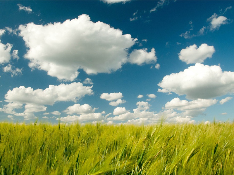 临邑舍弟书至苦雨黄河泛溢堤防之患簿领所忧因寄此诗用宽其意