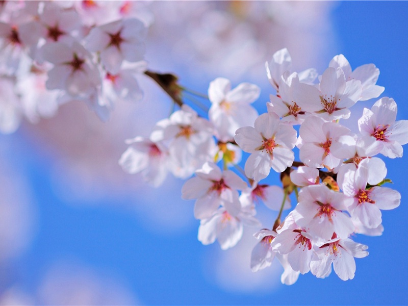 范二员外邈吴十侍御郁特枉驾阙展待聊寄此作