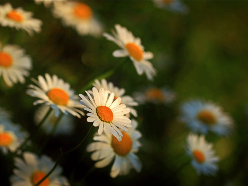 王竟携酒高亦同过共用寒字