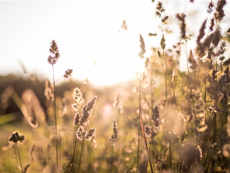 观作桥成月夜舟中有述还呈李司马