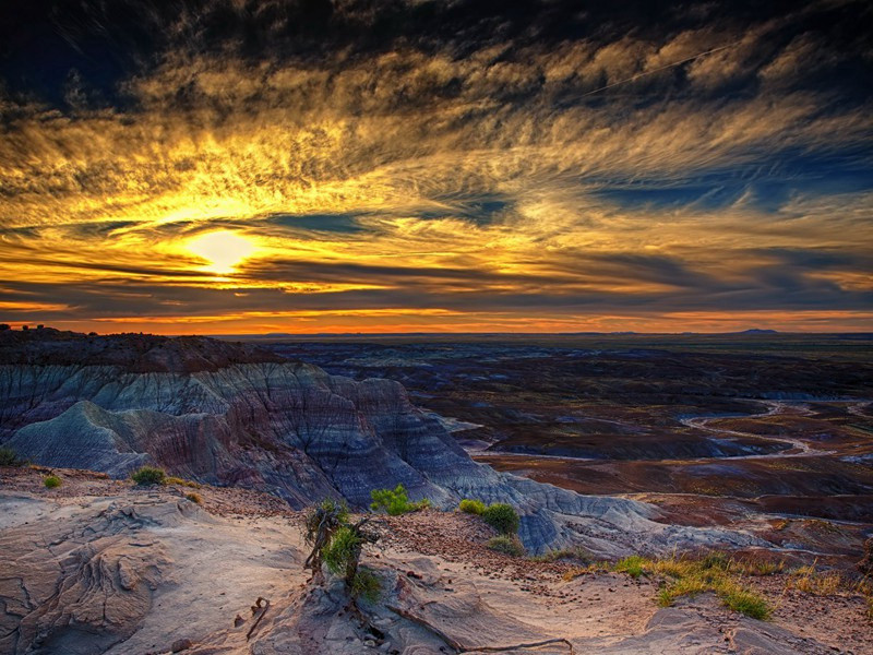 李司马桥成高使君自成都回