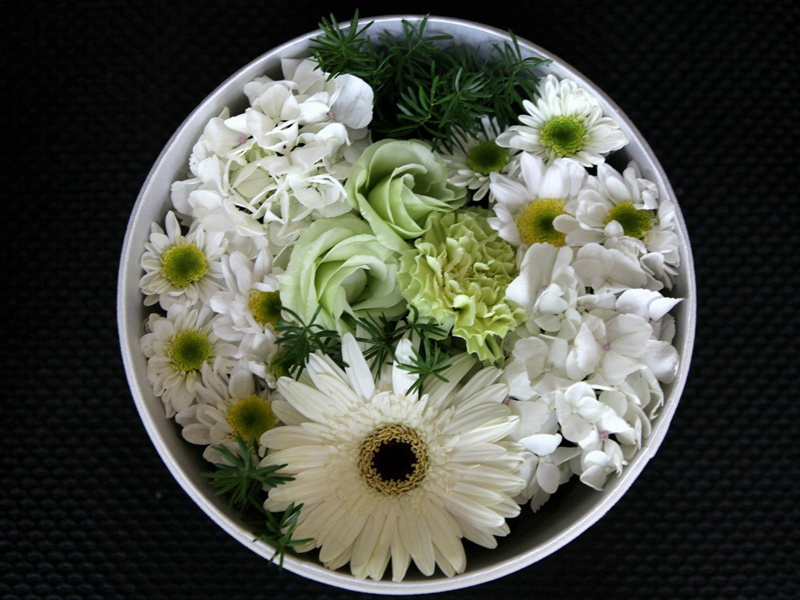 魏十四侍御就敝庐相别