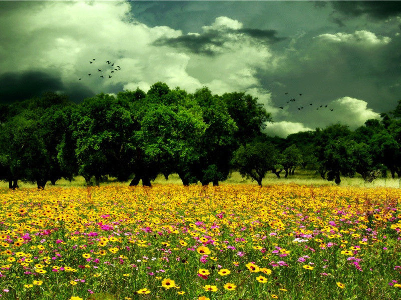 即事·百宝装腰带