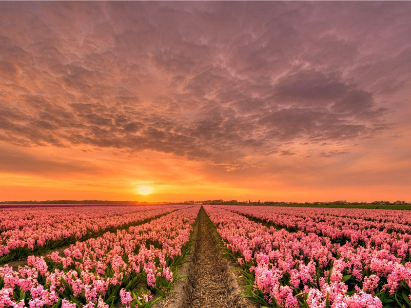 遭田父泥饮美严中丞