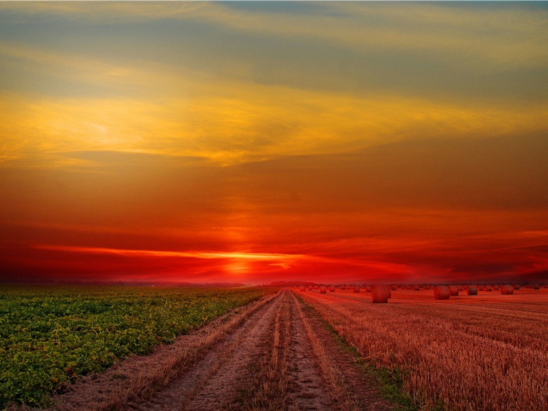 谢严中丞送青城山道士乳酒一瓶