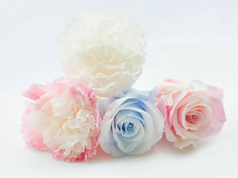 严公仲夏枉驾草堂兼携酒馔(得寒字)