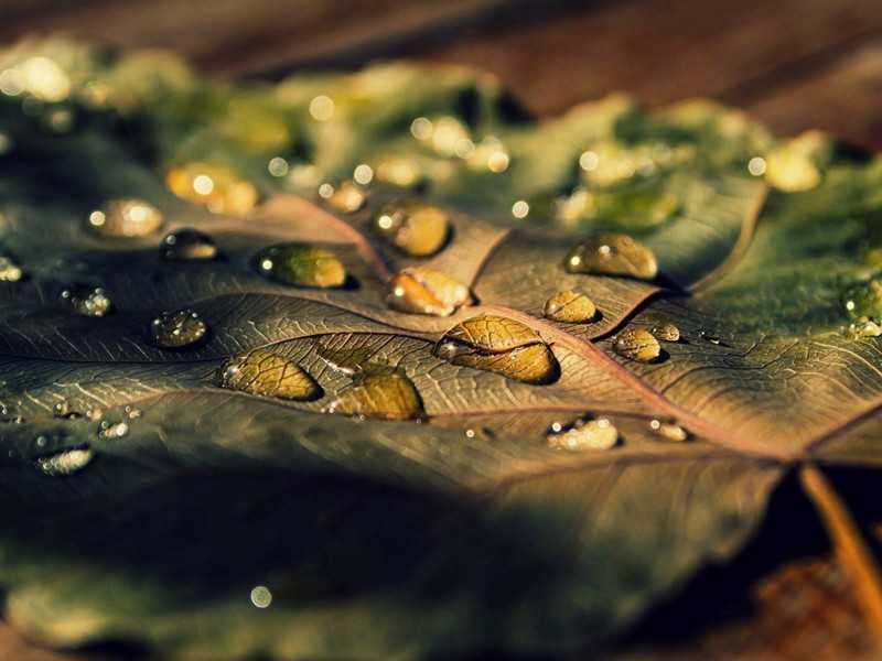 正月三日归溪上有作简院内诸公