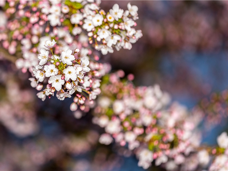 送梓州李使君之任