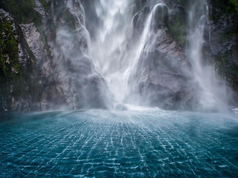 九日奉寄严大夫