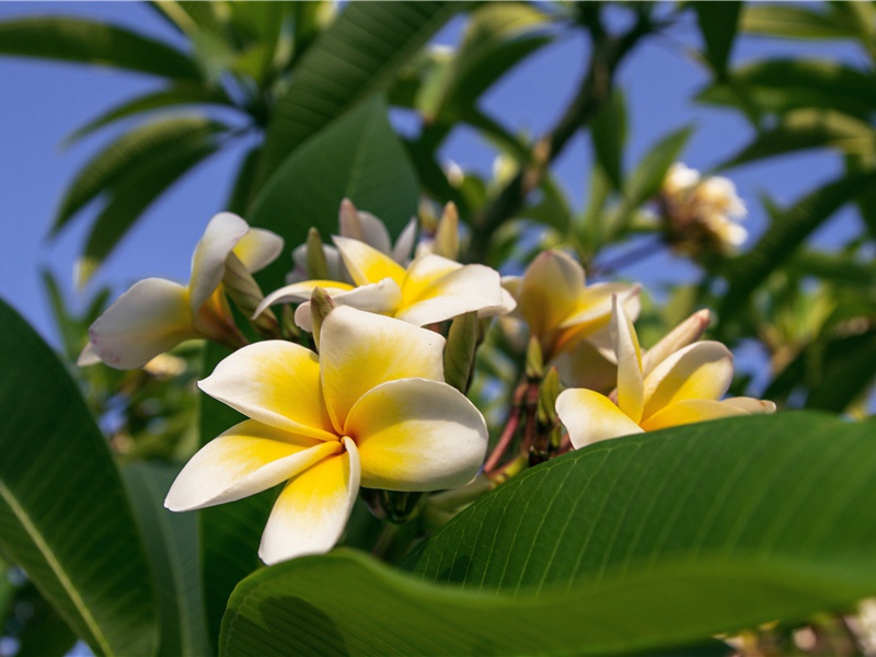 冬到金华山观因得故拾遗陈公学堂遗迹