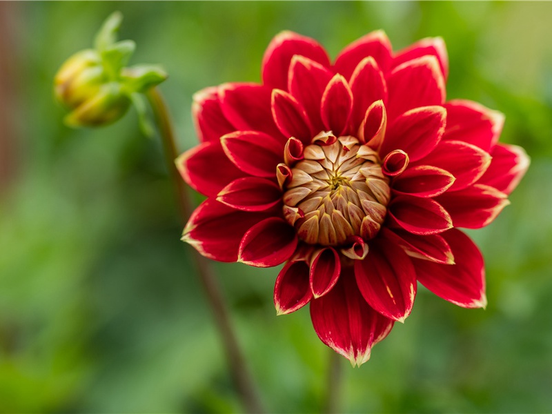 陪王侍御宴通泉东山野亭