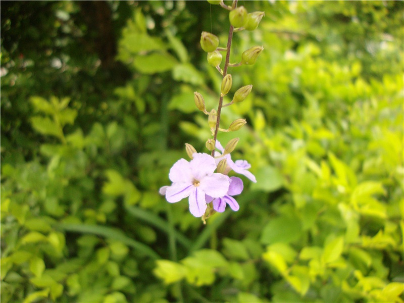 陪王侍御同登东山最高顶宴姚通泉晚携酒泛江