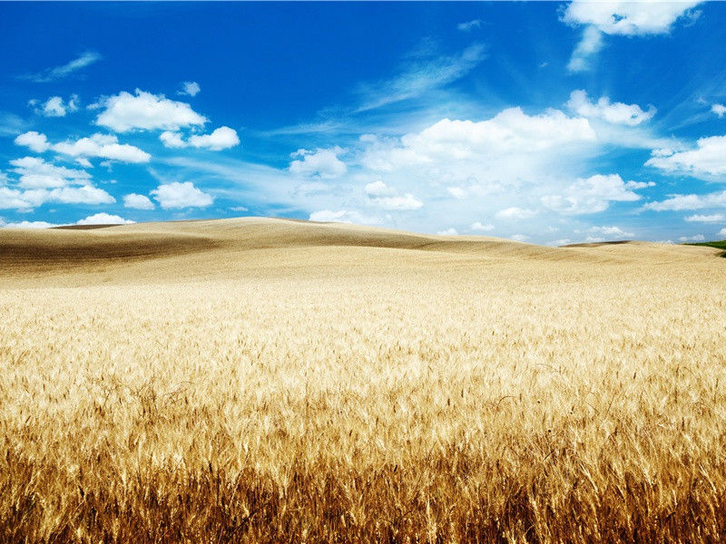 郪城西原送李判官兄武判官弟赴成都府