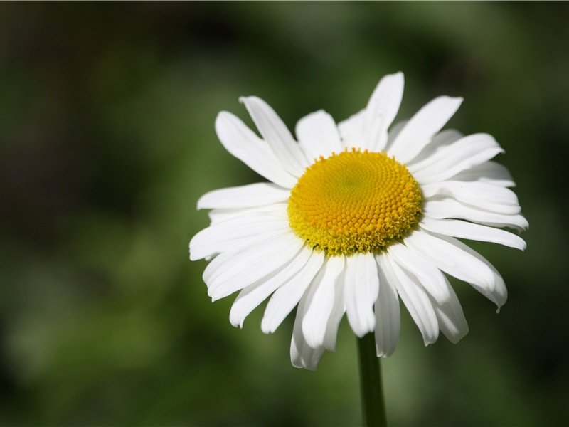 雨·峡云行清晓