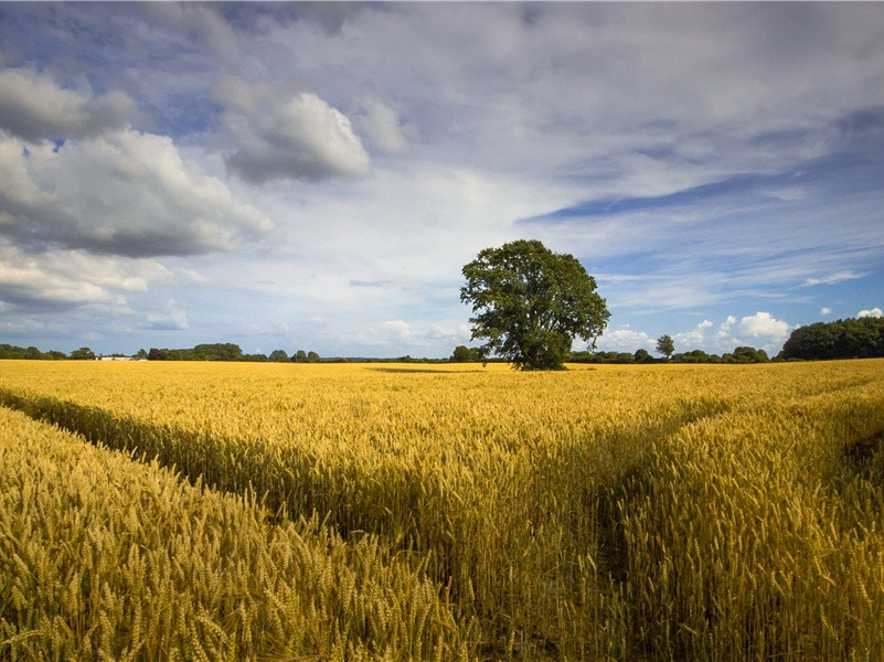 数陪李梓州泛江有女乐在诸舫戏为艳曲二首赠李