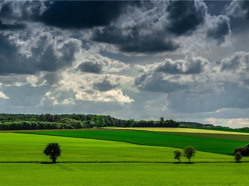 行次盐亭县聊题四韵奉简严遂州蓬州两使君咨议诸昆季
