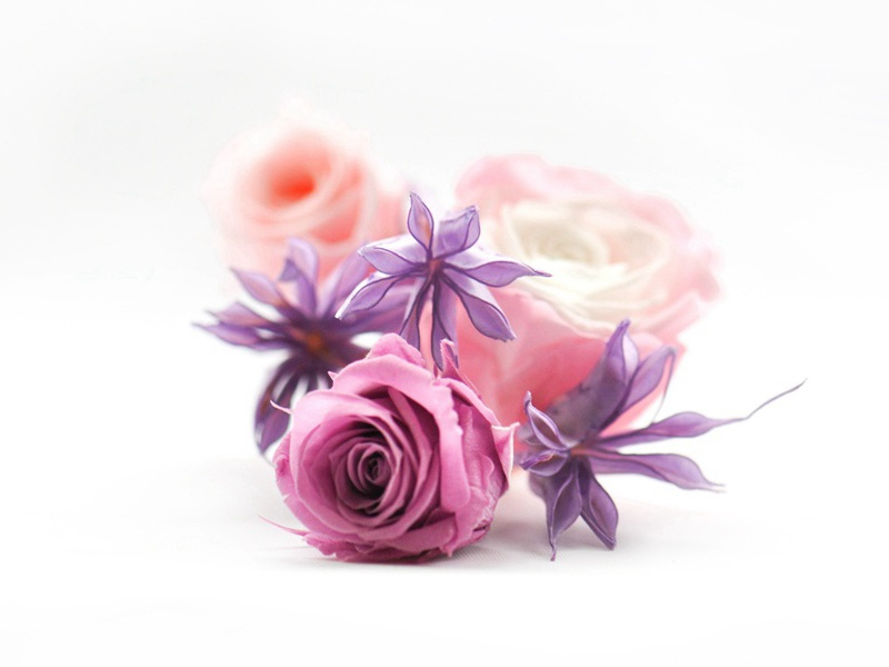 惠义寺园送辛员外