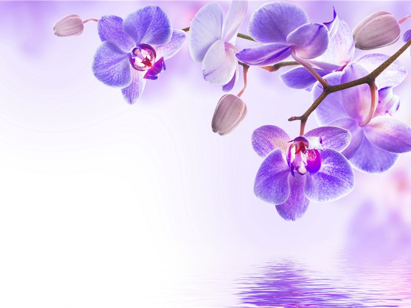 投简梓州幕府兼简韦十郎官