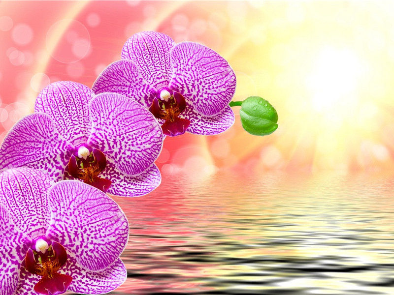 章梓州橘亭饯成都窦少尹