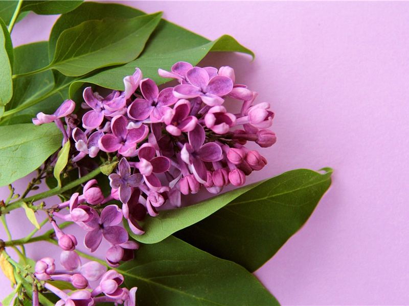 随章留后新亭会送诸君