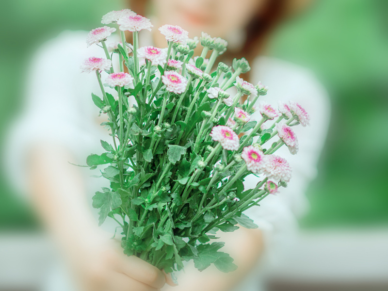 戏作寄上汉中王二首