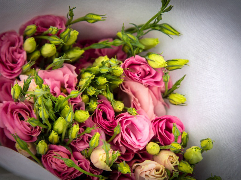 送陵州路使君之任