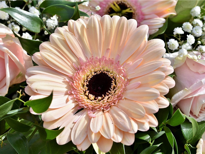 江亭王阆州筵饯萧遂州