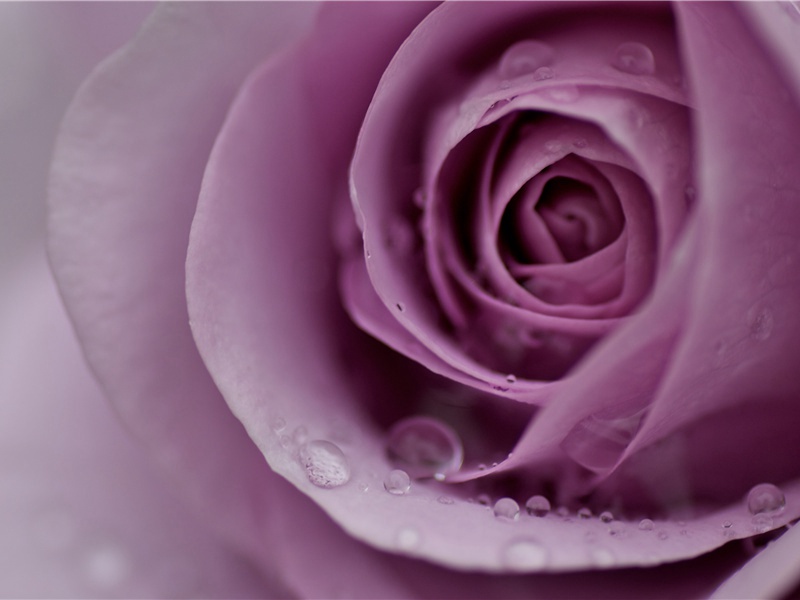 将赴荆南寄别李剑州