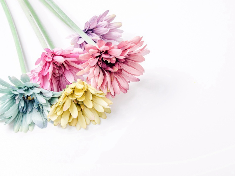 将赴成都草堂途中有作先寄严郑公五首