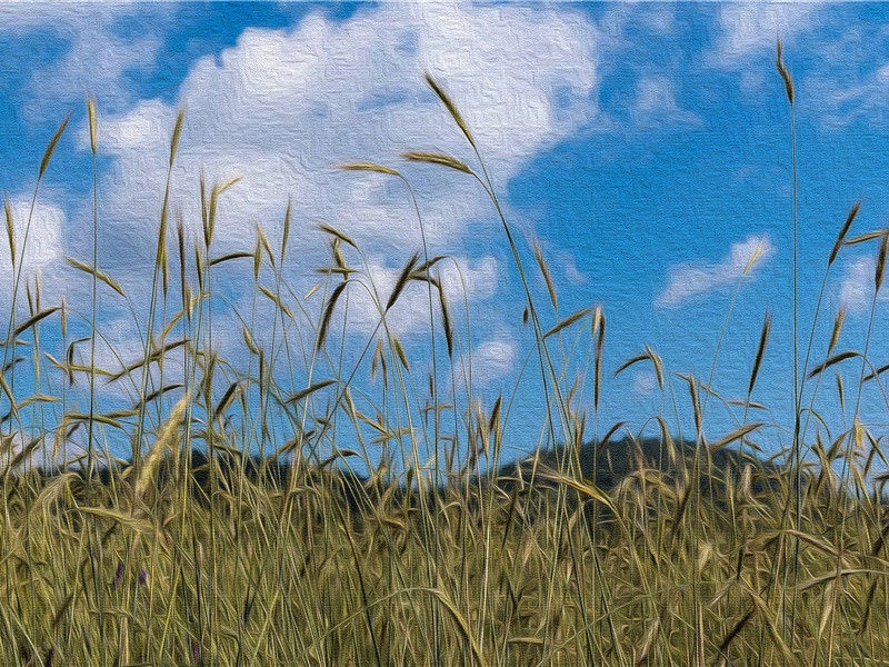 寄司马山人十二韵