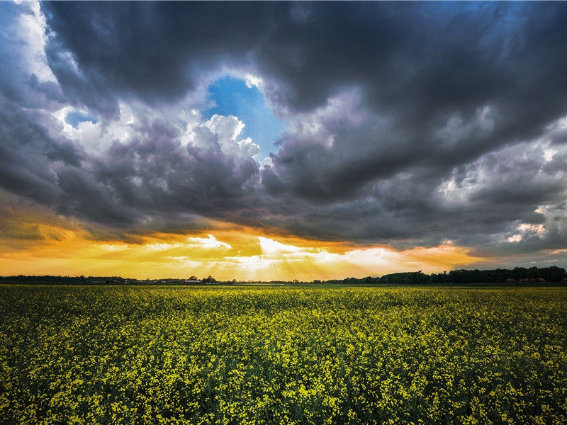 军中醉歌寄沈八刘叟