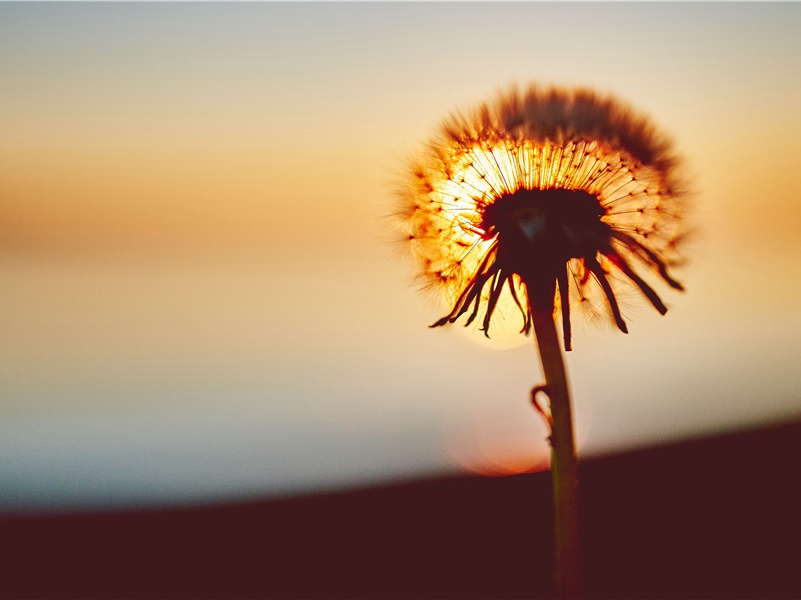 送韦讽上阆州录事参军