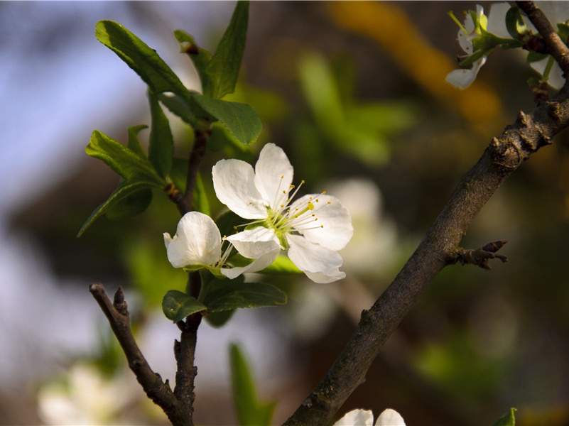 寄董卿嘉荣十韵