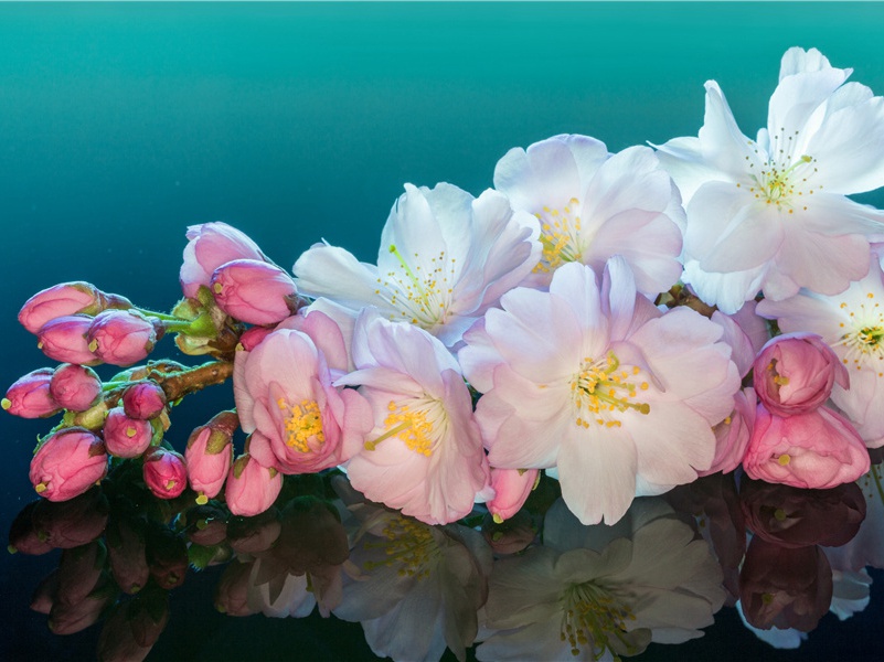 送舍弟颖赴齐州三首