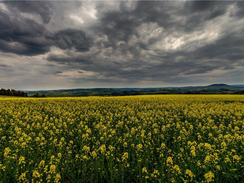 晚秋陪严郑公摩诃池泛舟