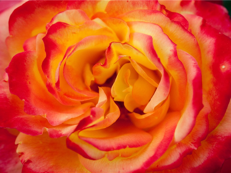 喜雨·南国旱无雨