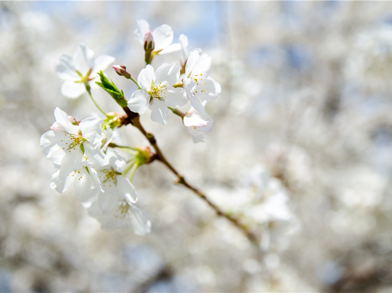 宿青溪驿奉怀张员外十五兄之绪