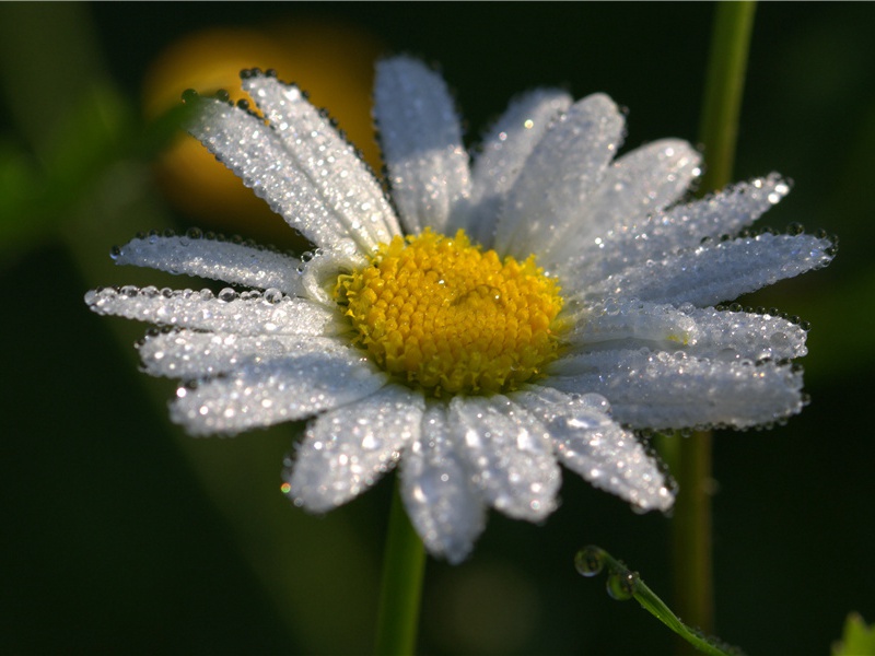 放船·收帆下急水