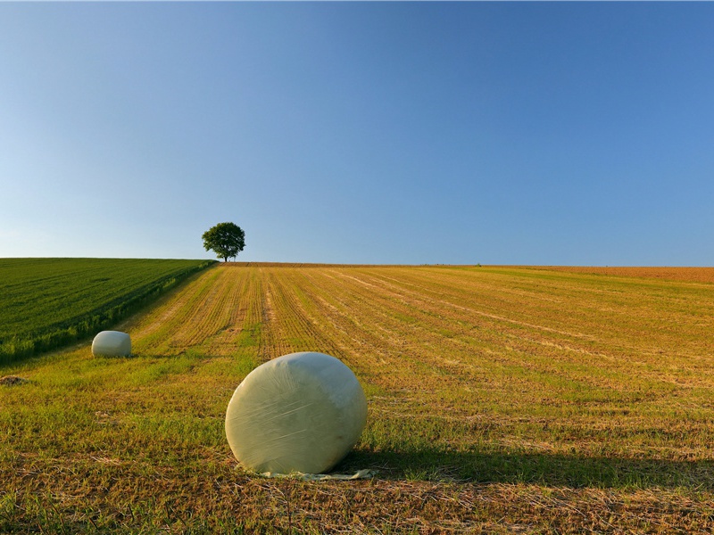 东津送韦讽摄阆州录事