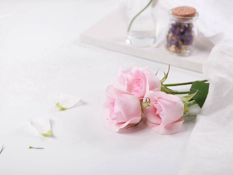 赠崔十三评事公辅